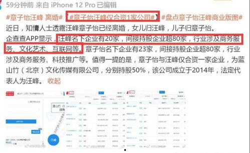 刘一飞直播爆料汪峰视频,揭秘背后惊人真相  第3张
